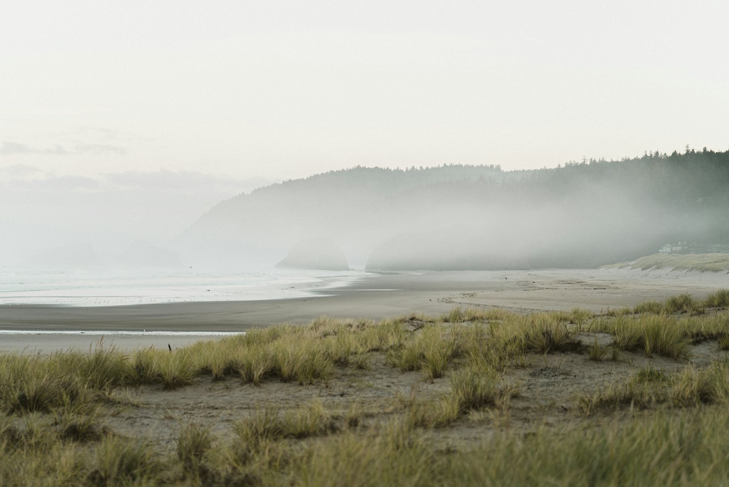 Sandy beach with ocean waves and marram grass dunes.