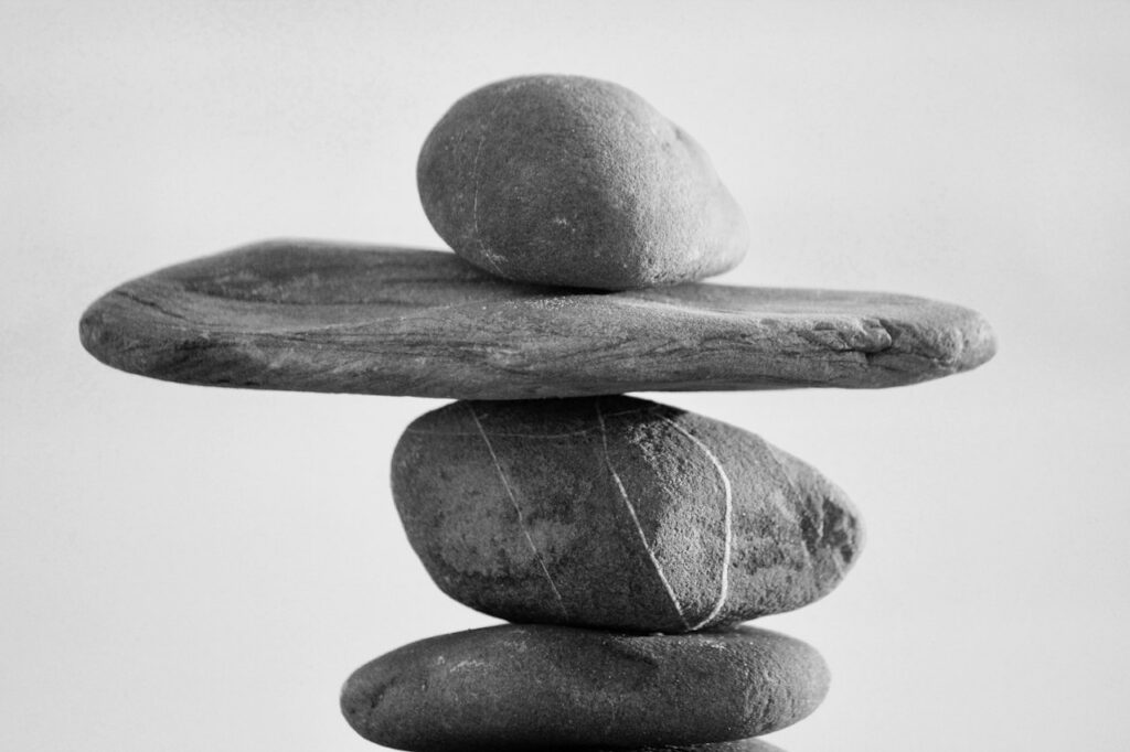 Professional Pebble Skimmer Kit